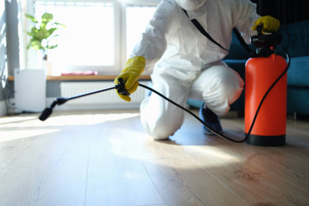 Reliable Sewage Cleanup contractor in Nashville, IL by Trauma Clean Pros